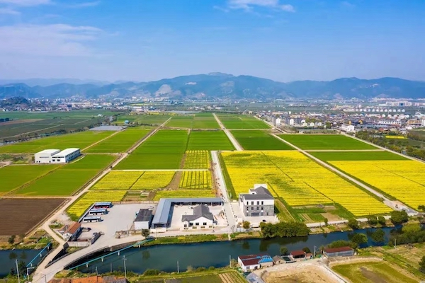 高標(biāo)準(zhǔn)農(nóng)田典型案例集錦丨“豐景”，在希望的田野